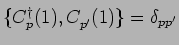 $ \{C^\dagger_p(1),C^{\phantom{\dagger}}_{p'}(1)\}=\delta_{pp'}$